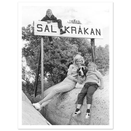 1326a67d-218e-4a40-8f7b-a4e16a323521