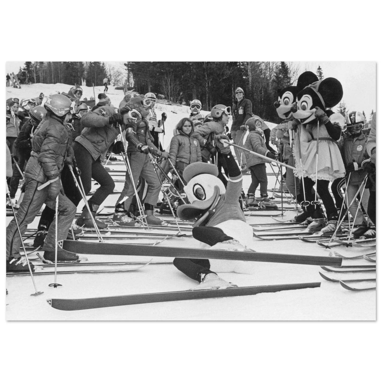 70c34376-6594-496c-b562-aa613ff712ad