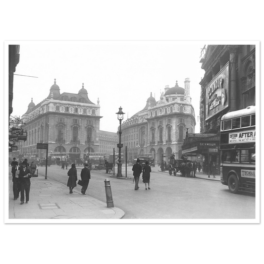 81538af3-bb56-403b-9443-2c44b3aec6c8