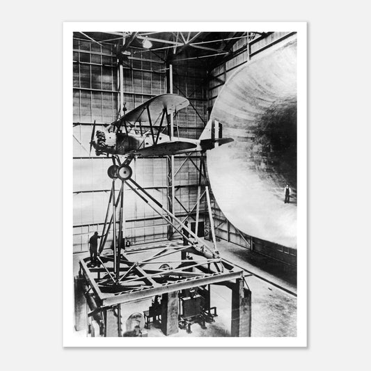 d3536b97-1fb3-4735-ba38-e3a845e6238a