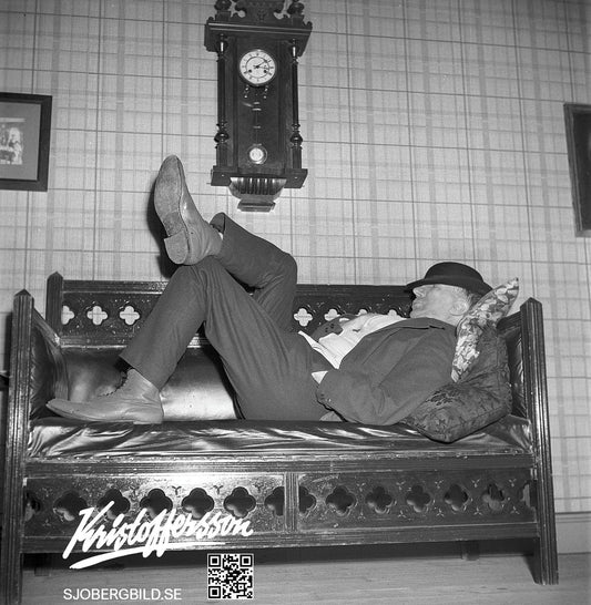 Kronbloms favoritplats är sofflocket