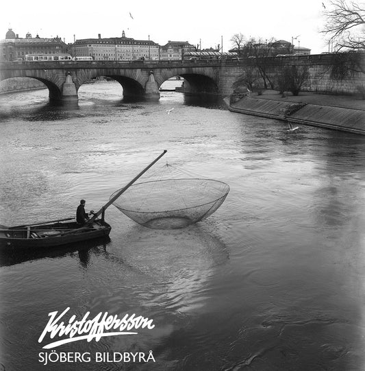 Norsfisket i Norrström