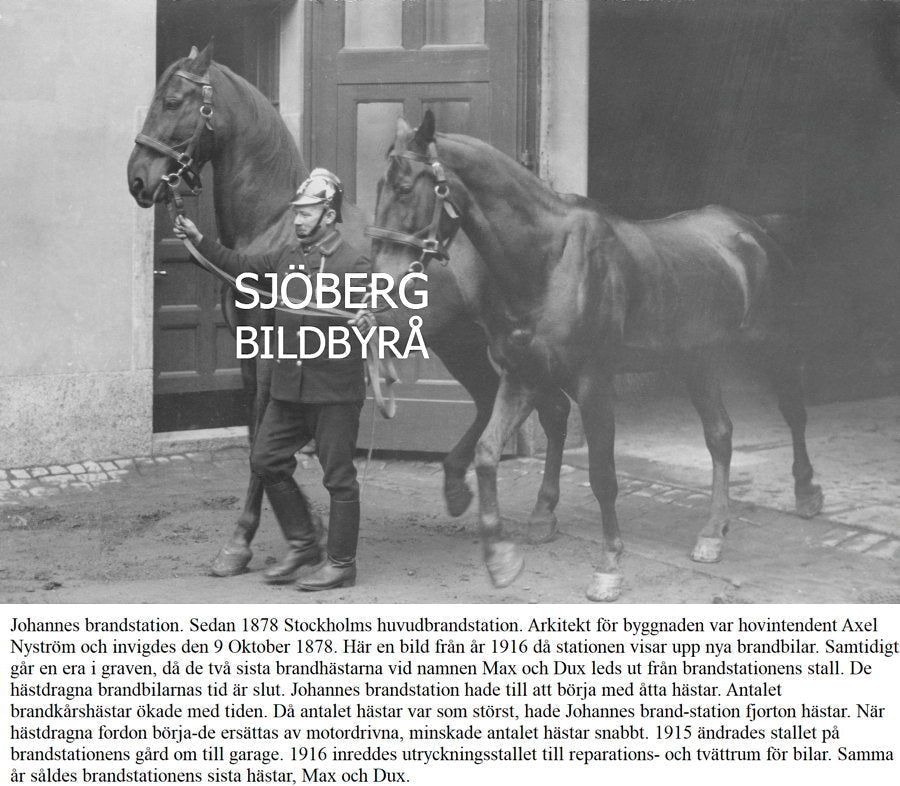 När hovslagen tystnade 1916