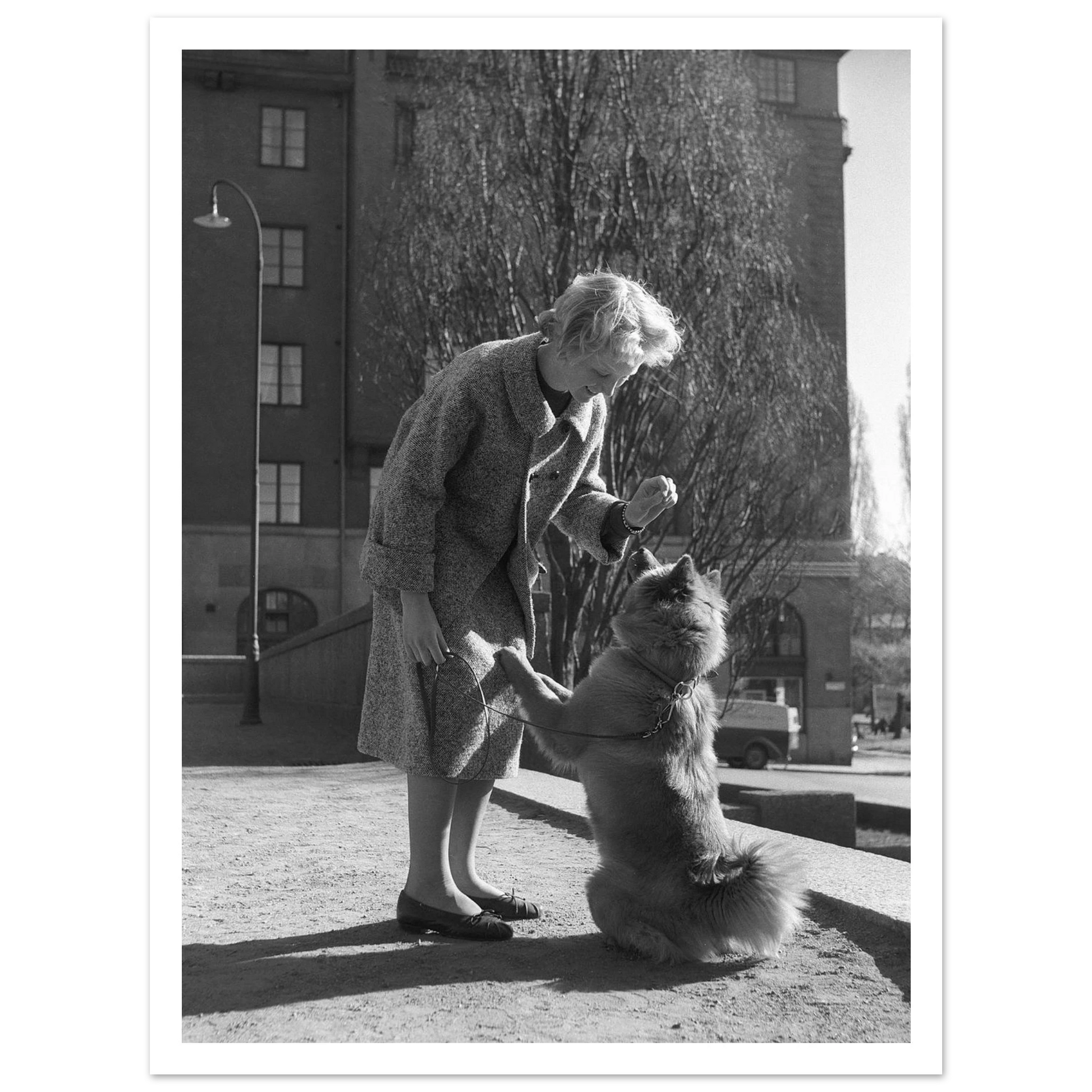 00f659bc-90e3-49bf-a1f3-2bd7f36c9c13