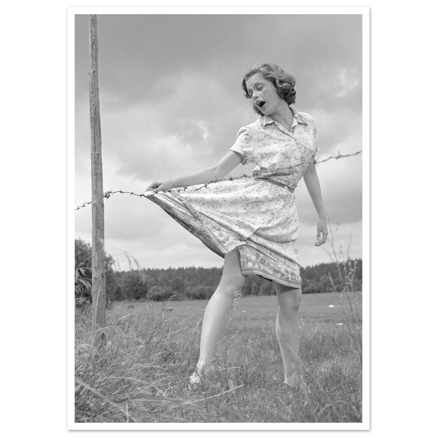 020cb0d0-f669-4b4c-821f-3bb3b6b955de