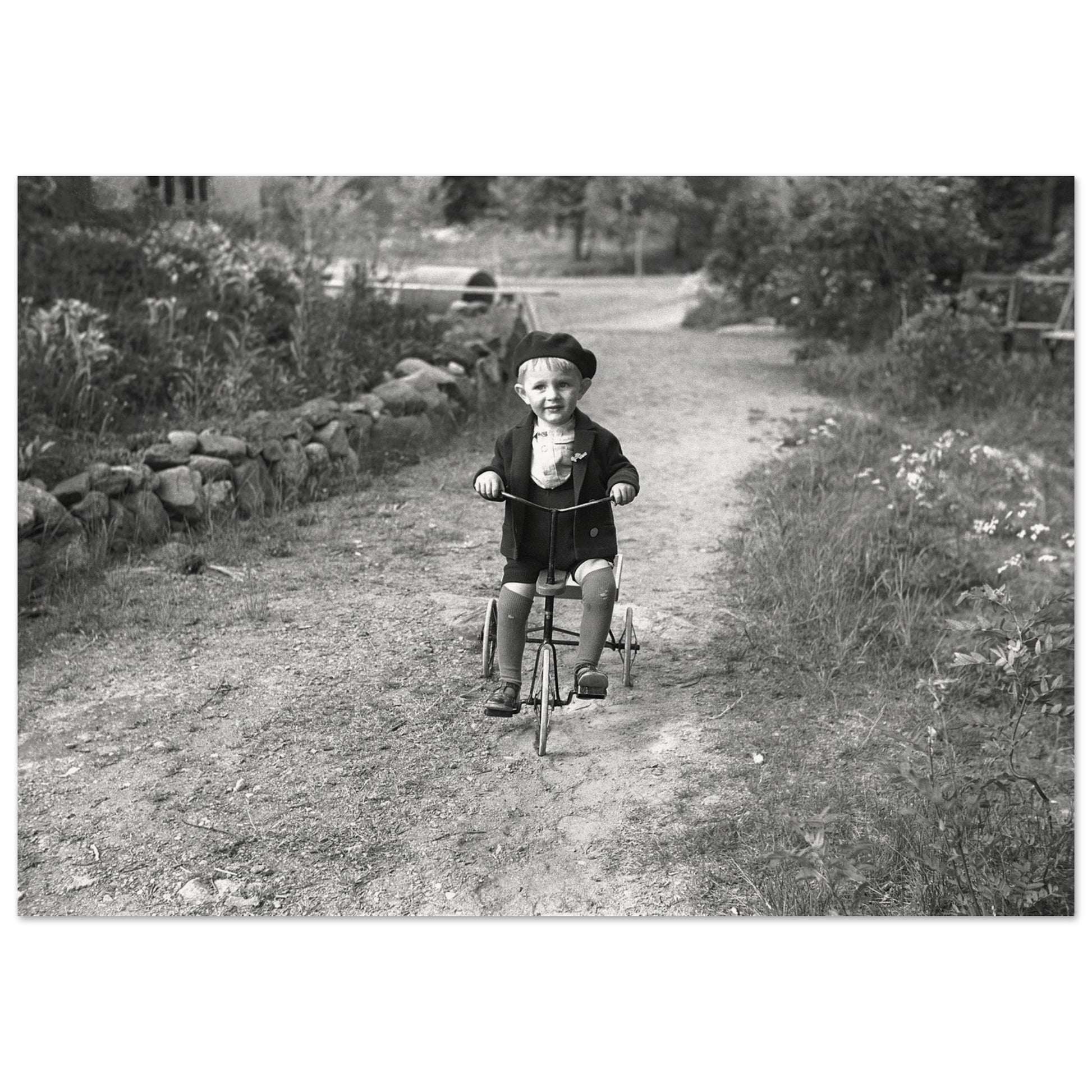 041a3e8e-e1b6-45b7-acca-9c12cd07c726