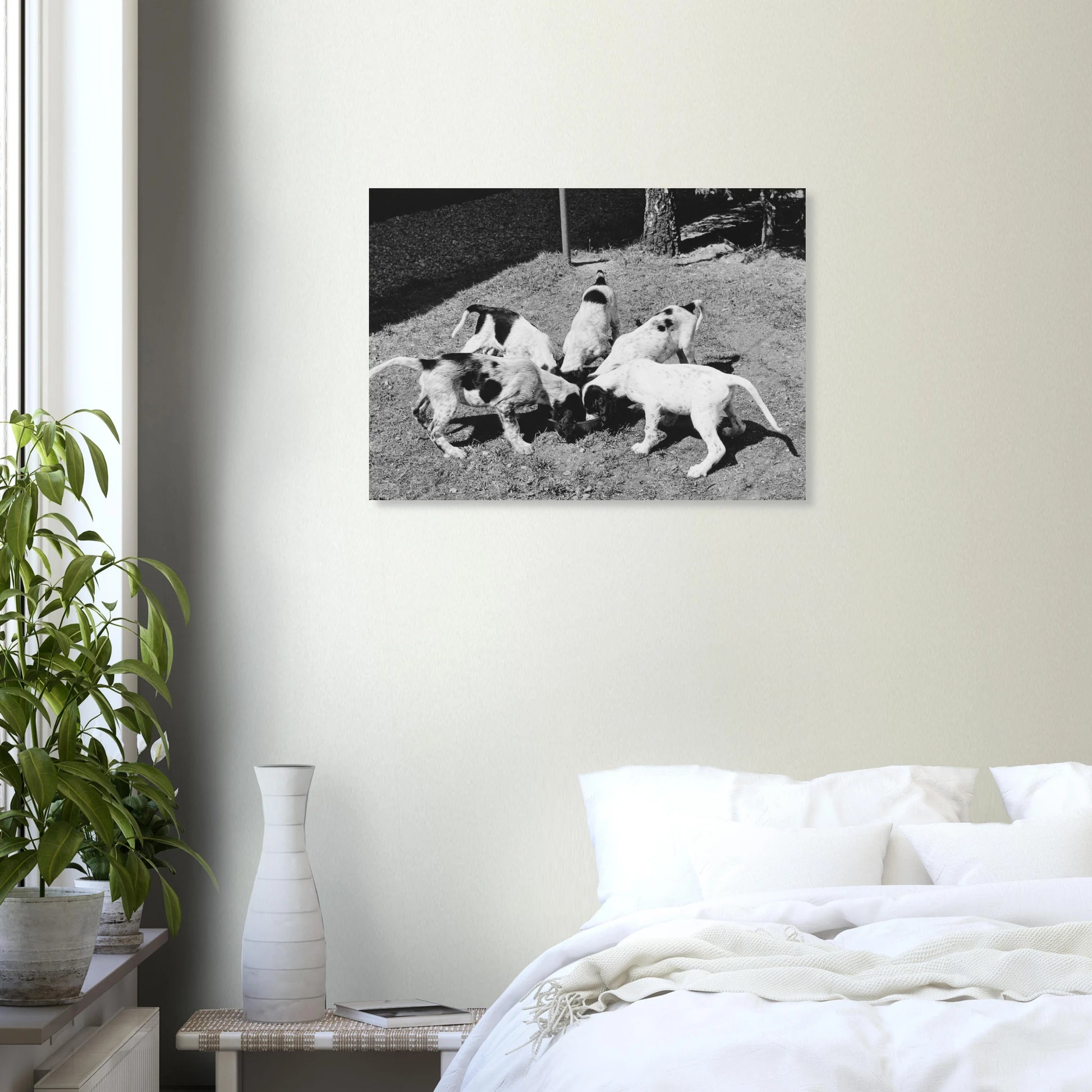 04667bec-aae1-4c4f-bf37-5444378b6a5b