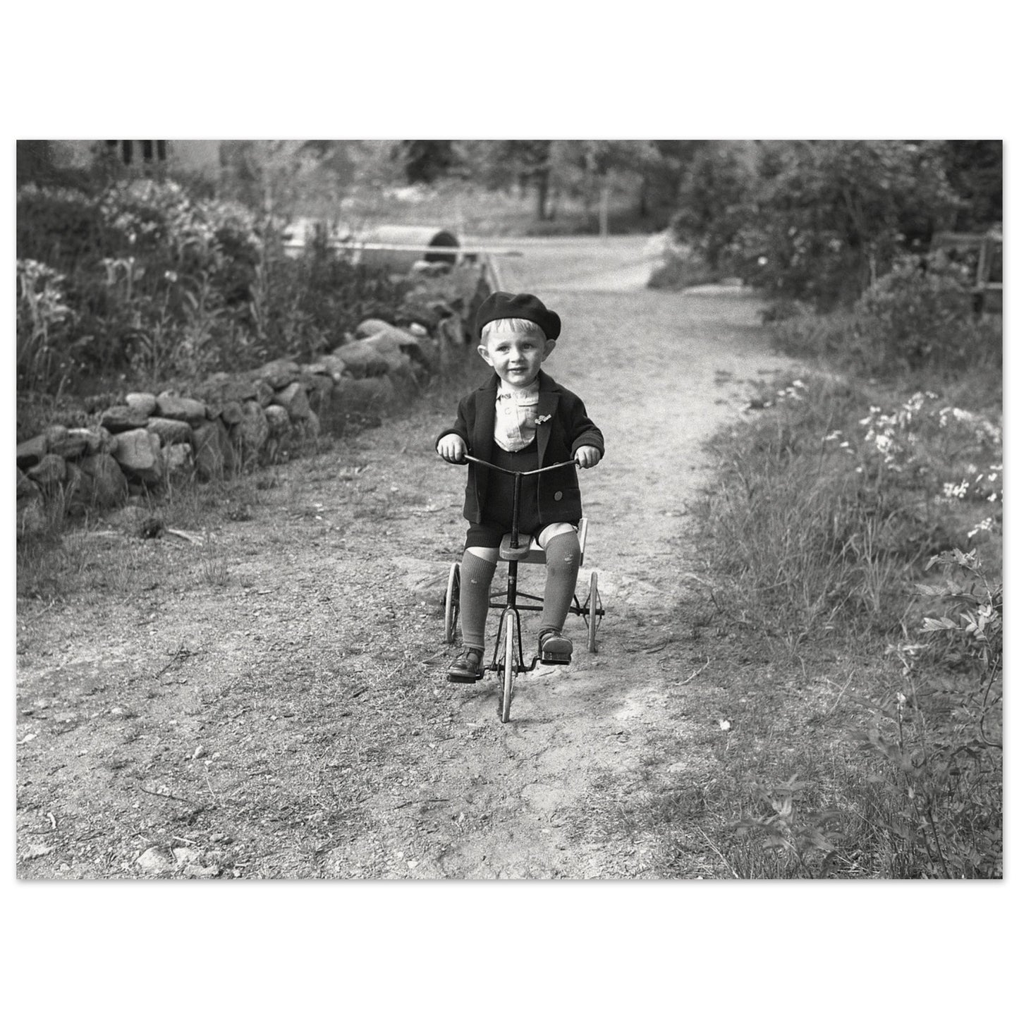 08e9441e-e15e-4038-84e9-461fcf416331