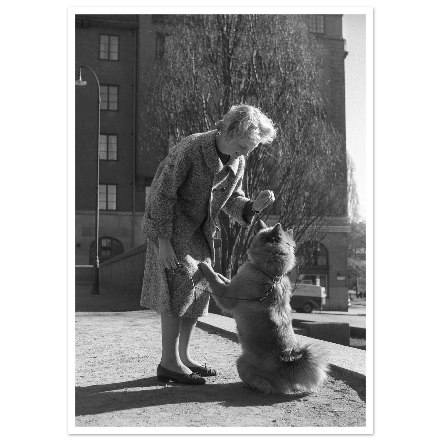 0c347bf9-7045-4345-a915-309789cc1c63