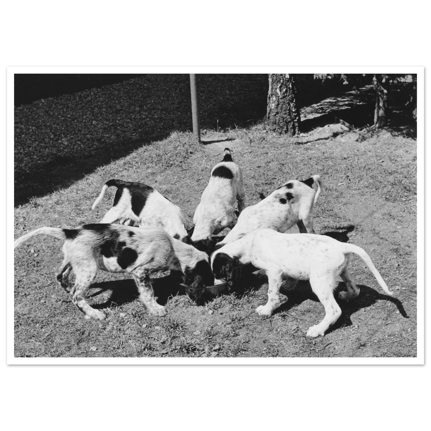 0df5d189-ddce-4d14-815f-5e47bf145f18