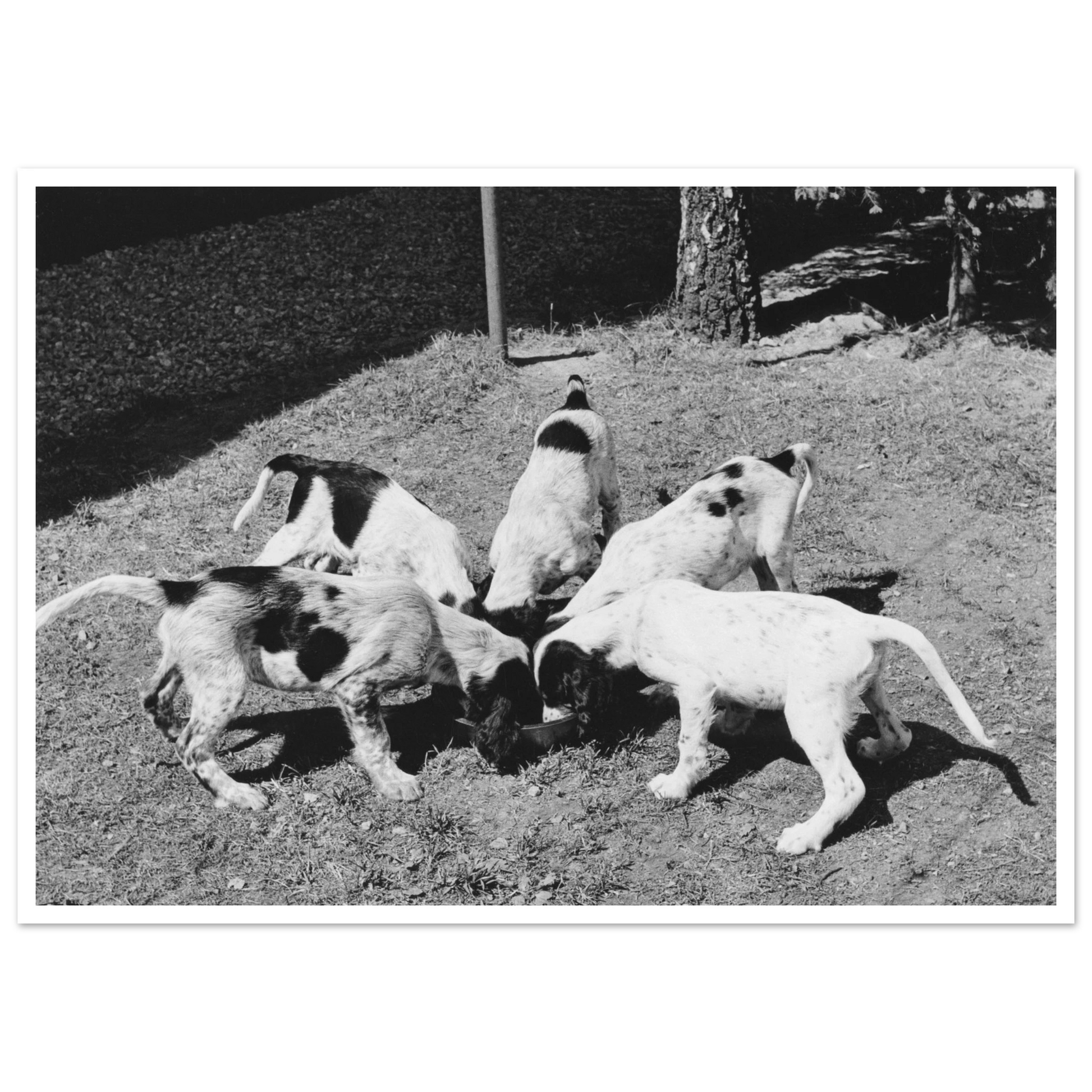 0df5d189-ddce-4d14-815f-5e47bf145f18