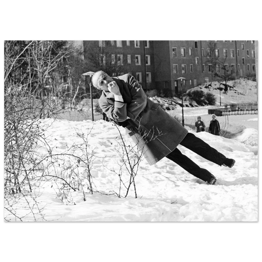 0e9e66bd-3b95-46be-a8c5-f2d550effe45