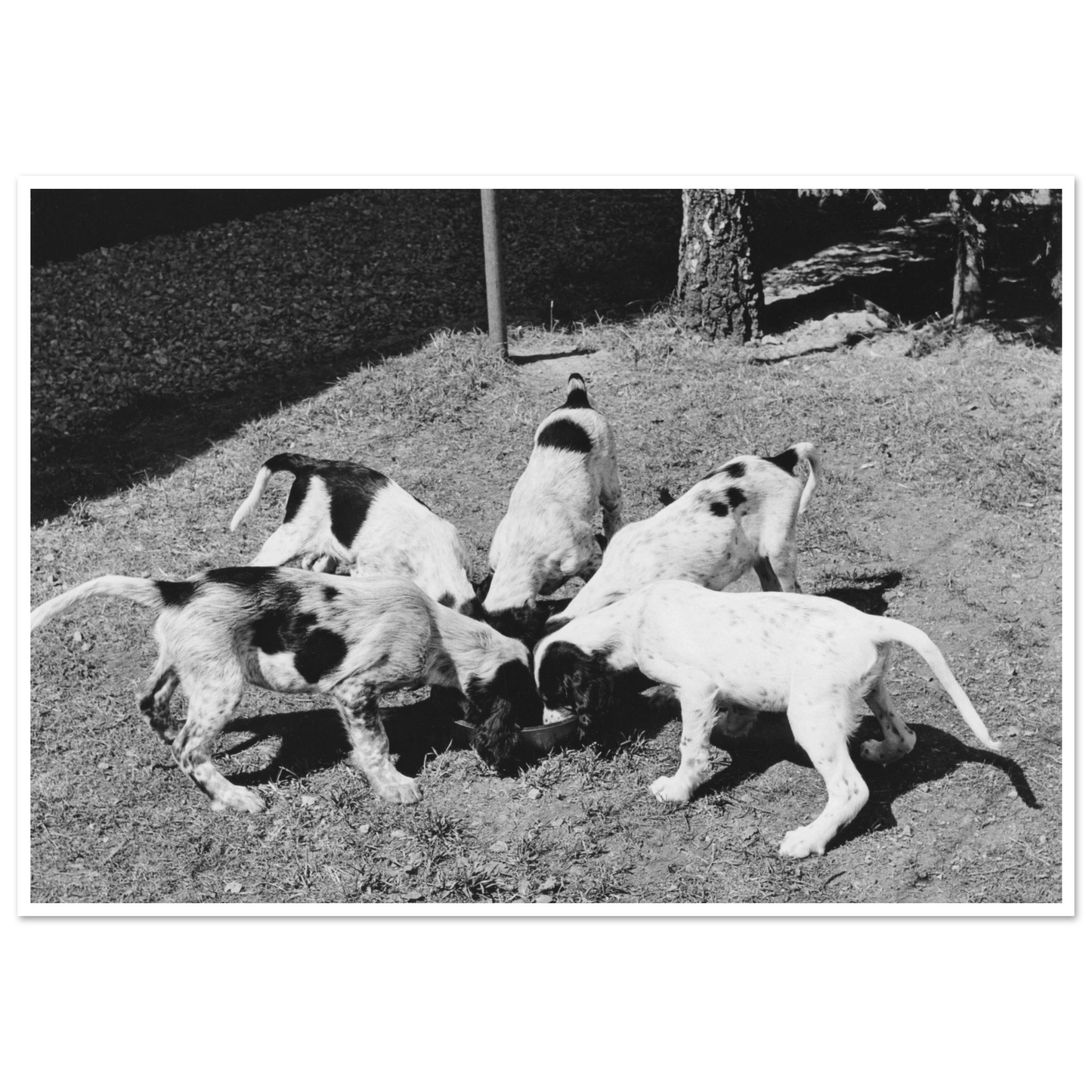 1271cf46-fdfd-479f-8a50-19ce940f2d17