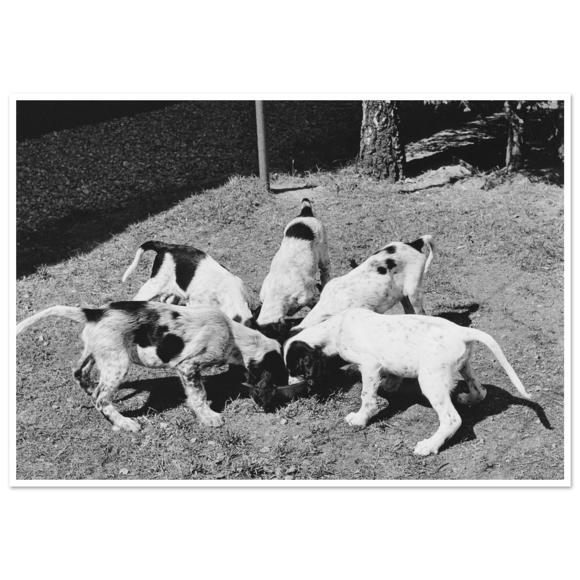 1271cf46-fdfd-479f-8a50-19ce940f2d17