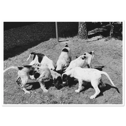 1271cf46-fdfd-479f-8a50-19ce940f2d17