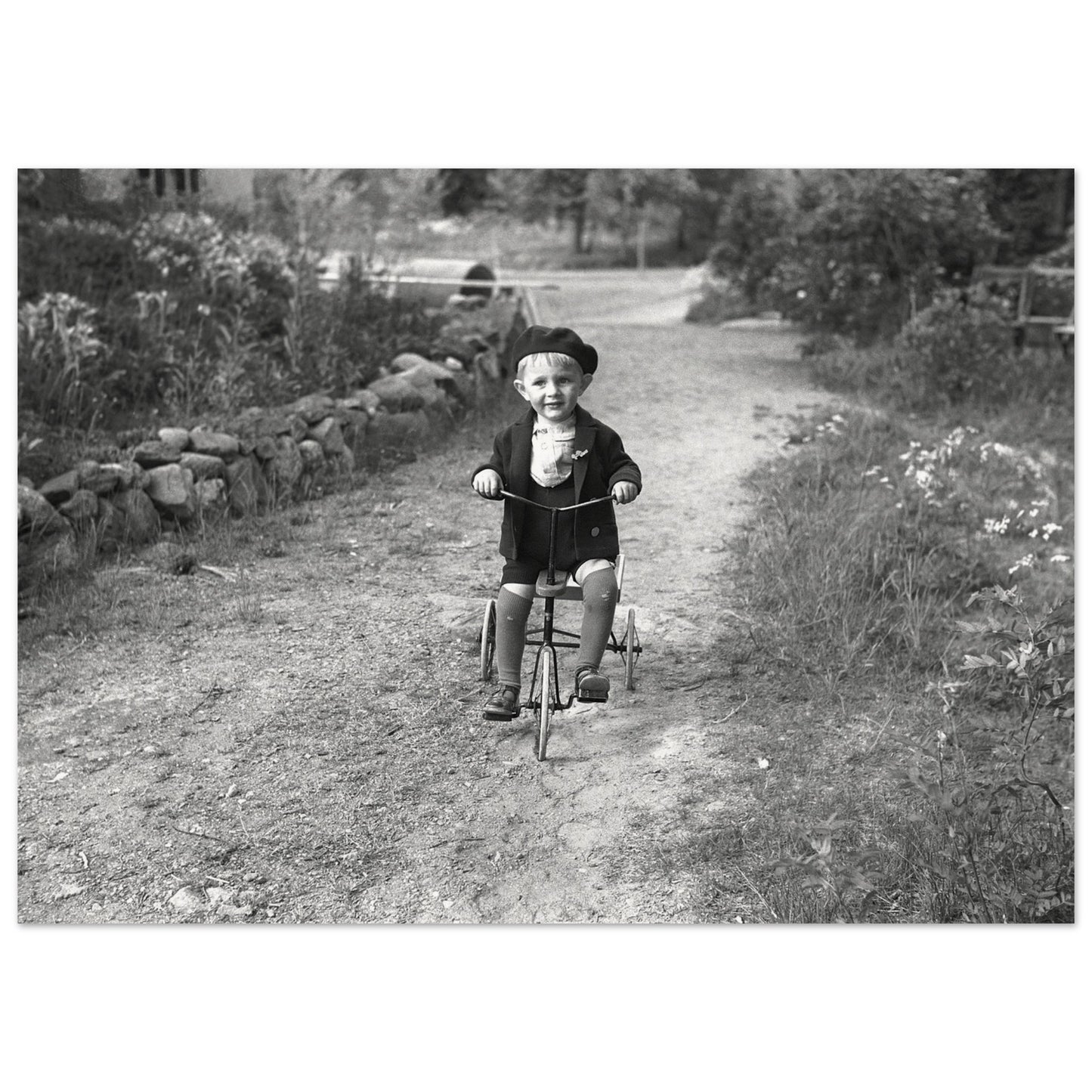 141e245b-e3f8-4dd0-81d0-56a9dc5782cc