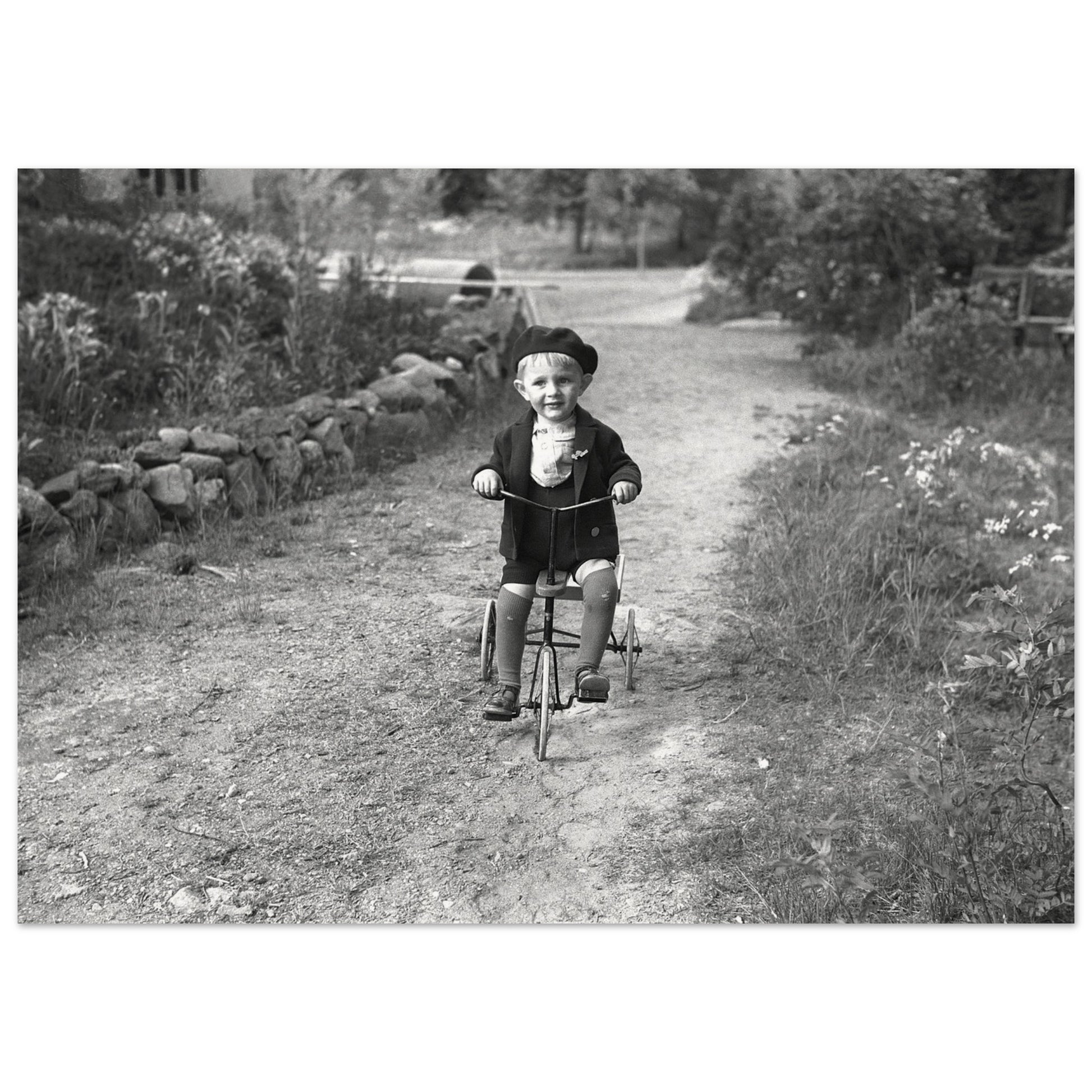 141e245b-e3f8-4dd0-81d0-56a9dc5782cc