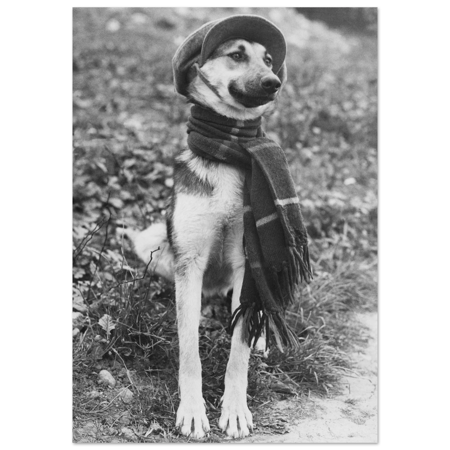 2555710f-f766-4a61-8854-6425bf2da293