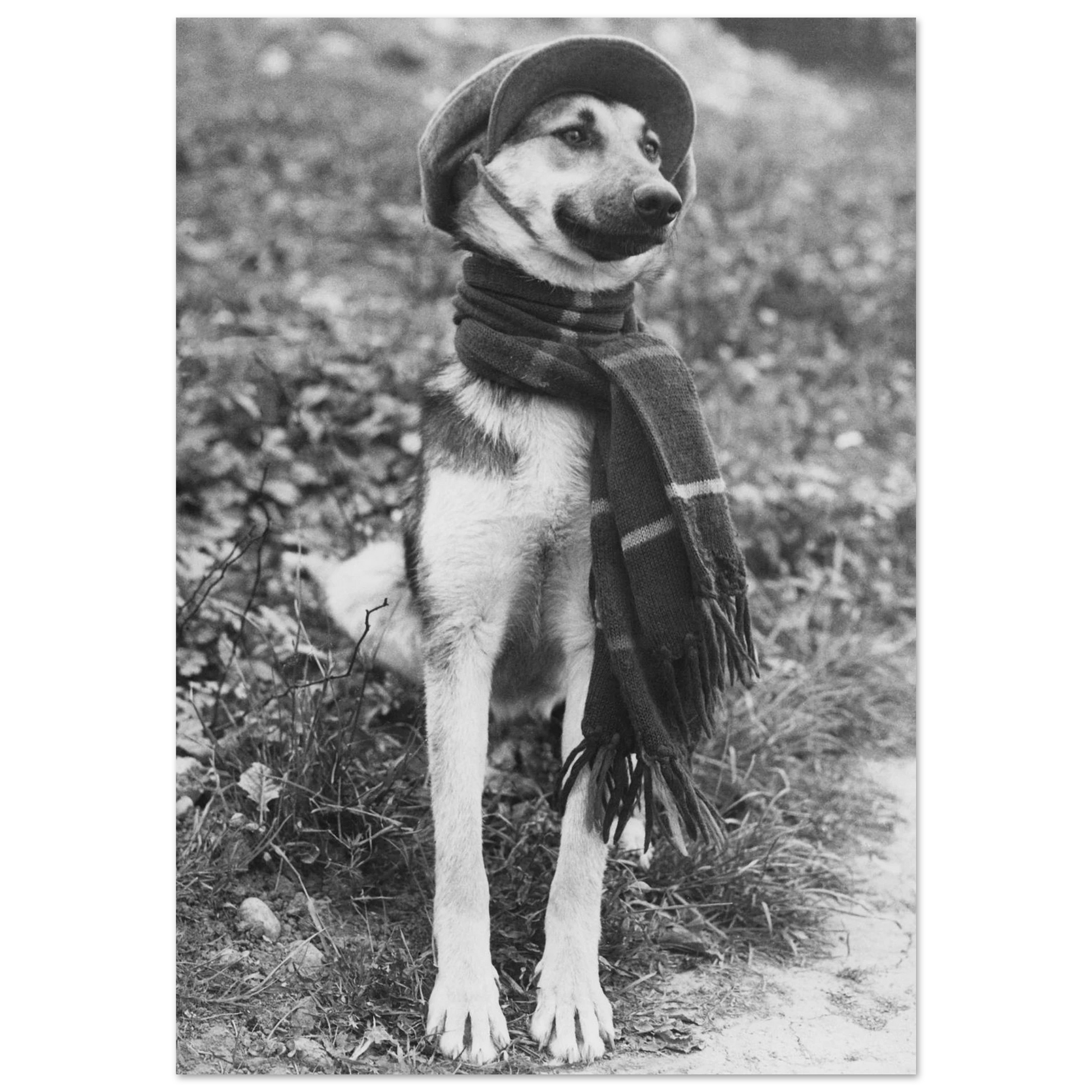 2555710f-f766-4a61-8854-6425bf2da293