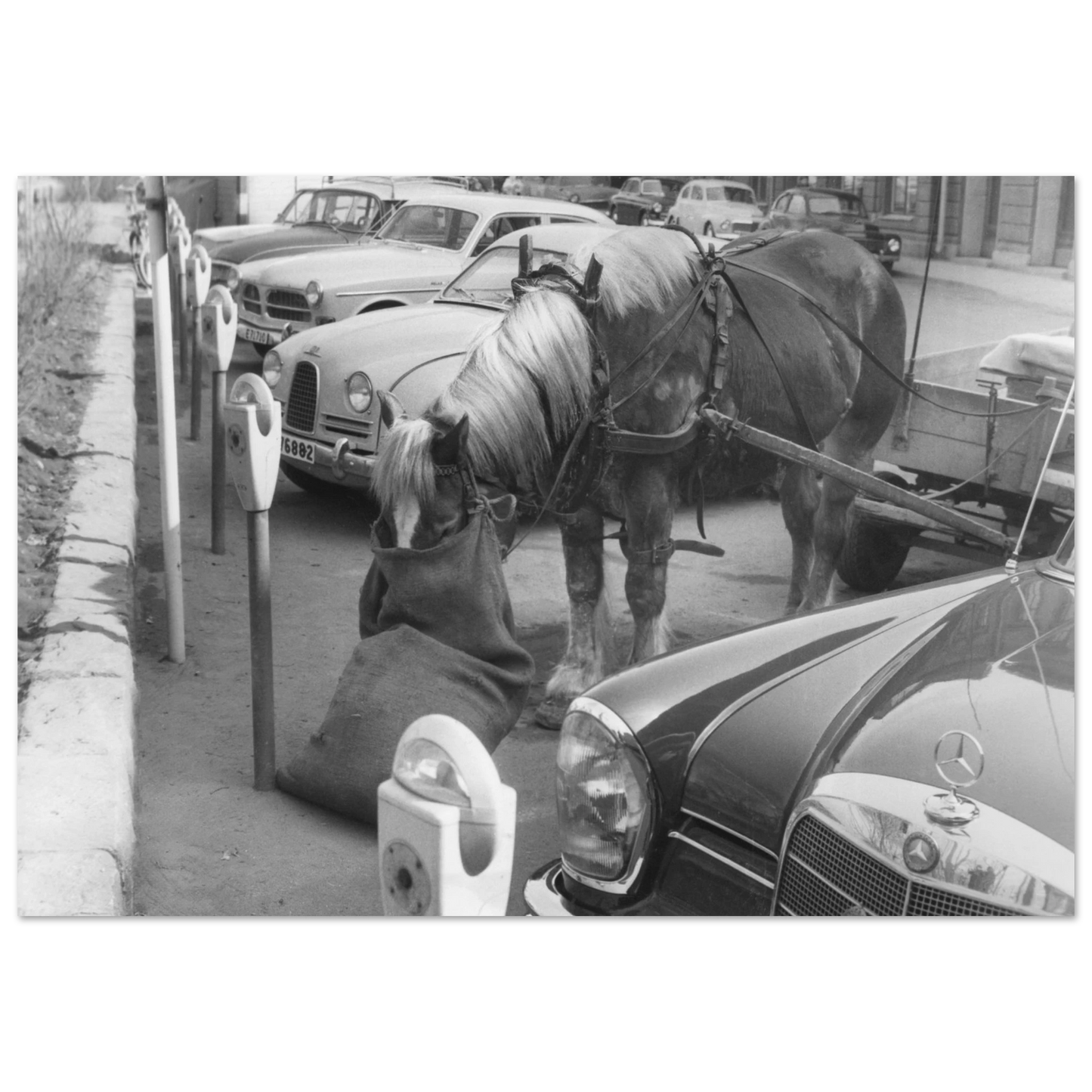 28cfca29-8a2e-4a65-83ea-0a224e9b6a82