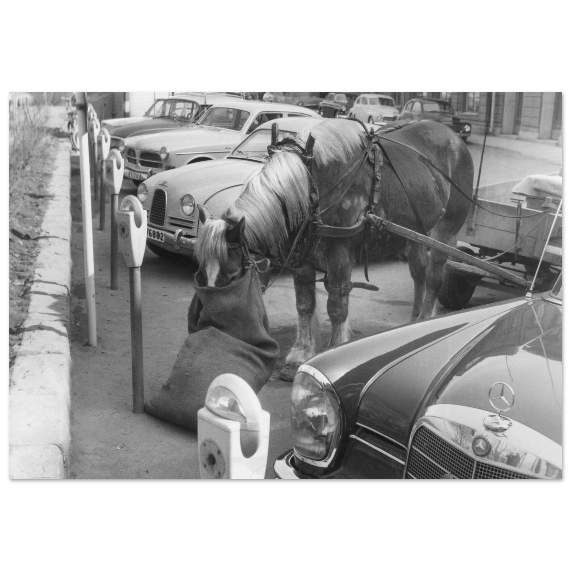 28cfca29-8a2e-4a65-83ea-0a224e9b6a82