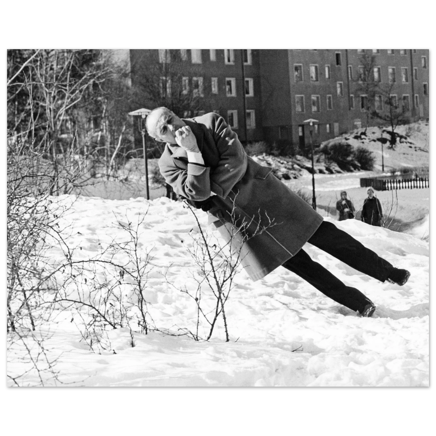 314d0723-f2b3-4a52-88cf-29c0ebbcfabd