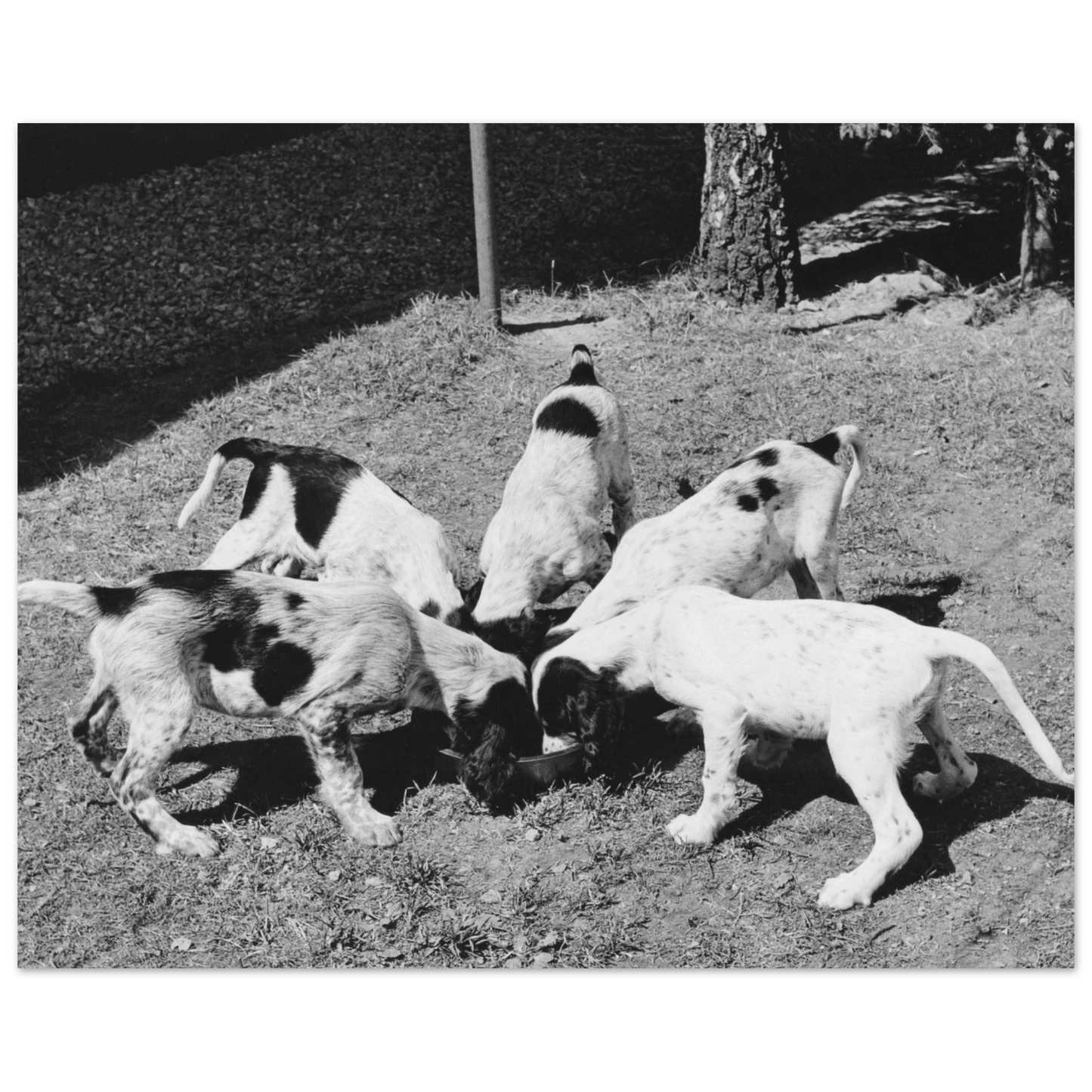 32fe881a-e0ff-4afe-9509-ff35bade53af