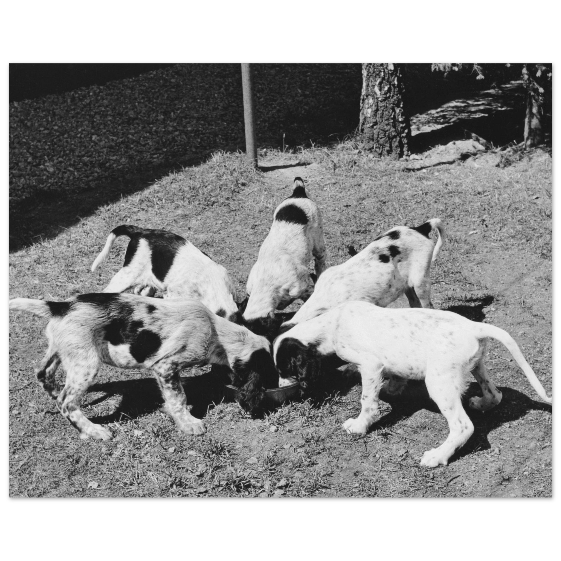 32fe881a-e0ff-4afe-9509-ff35bade53af