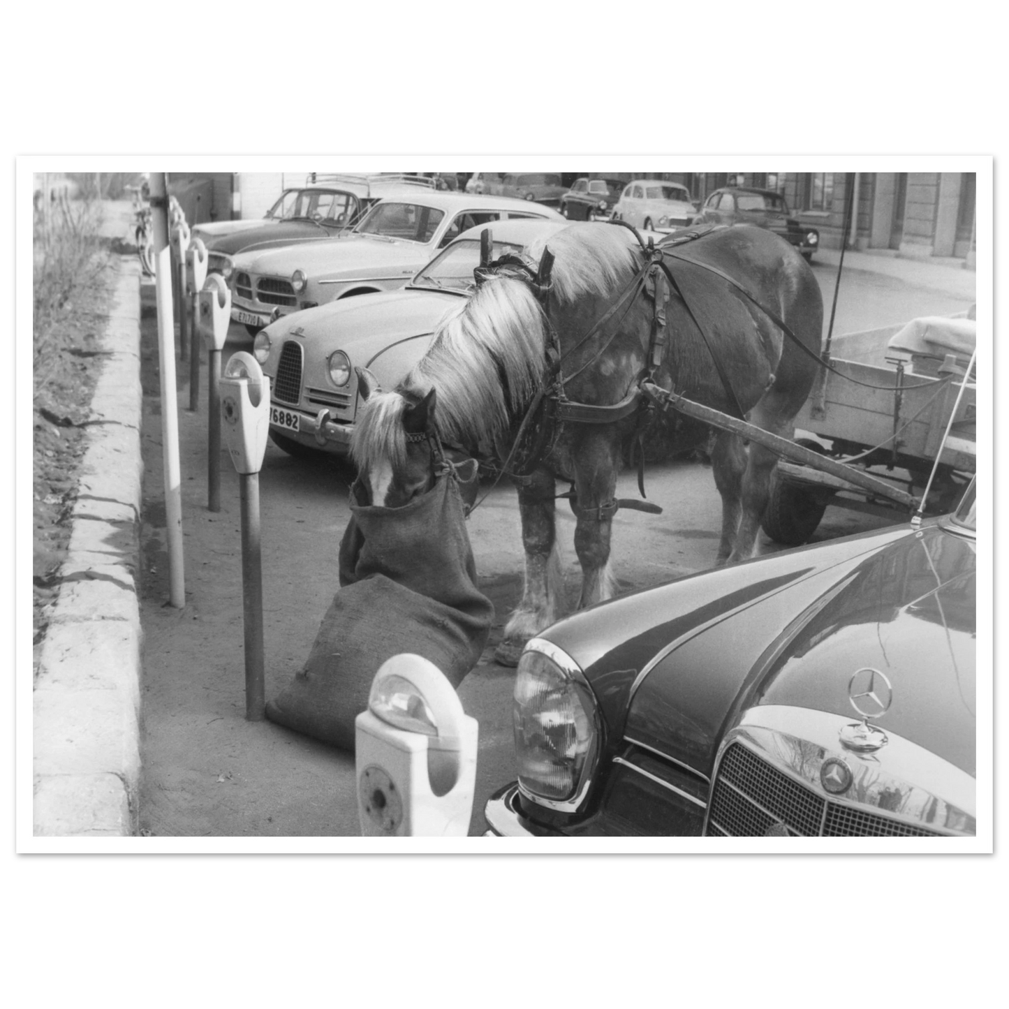 33200d3c-8ec9-48d5-862f-1e3da47ab3ee