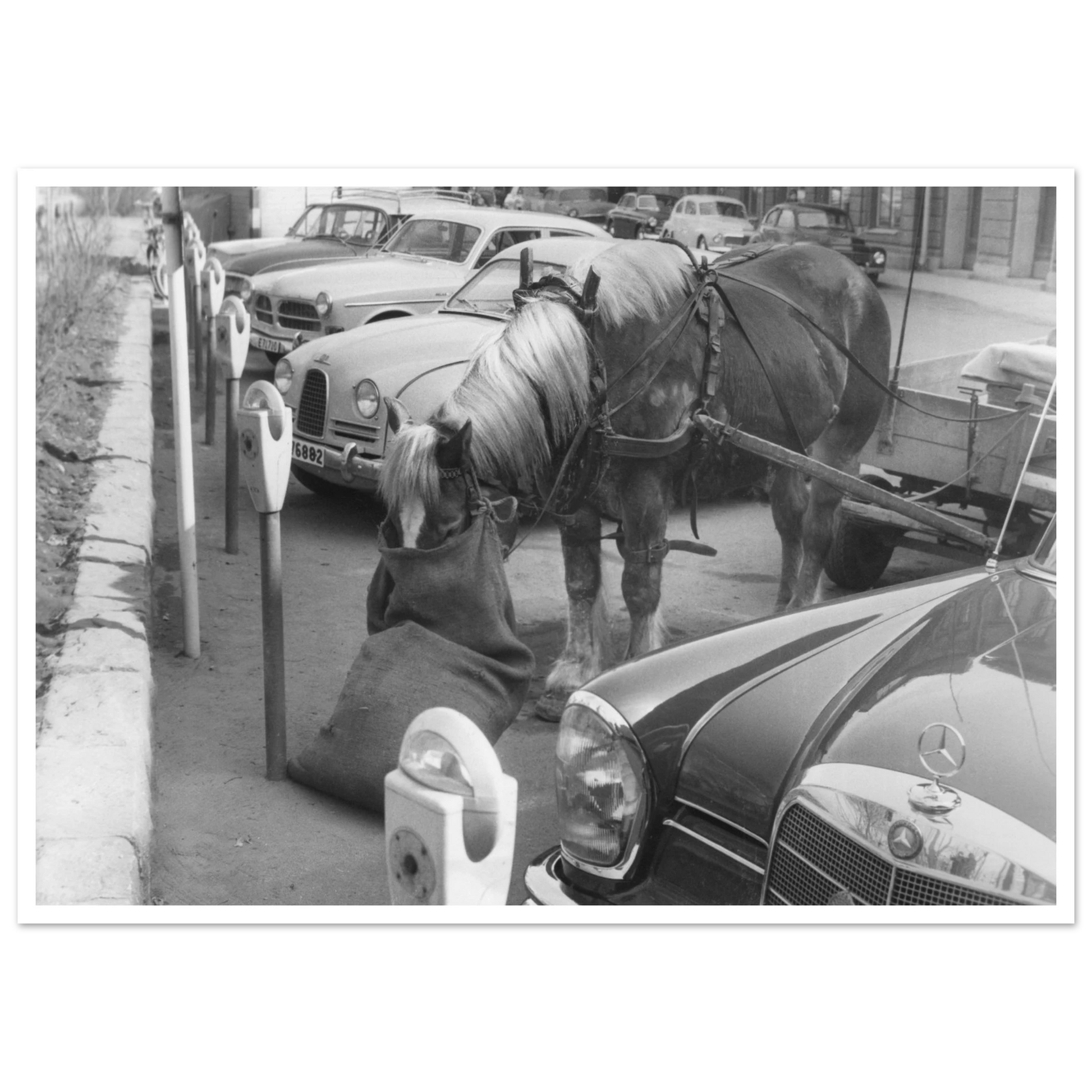 33200d3c-8ec9-48d5-862f-1e3da47ab3ee