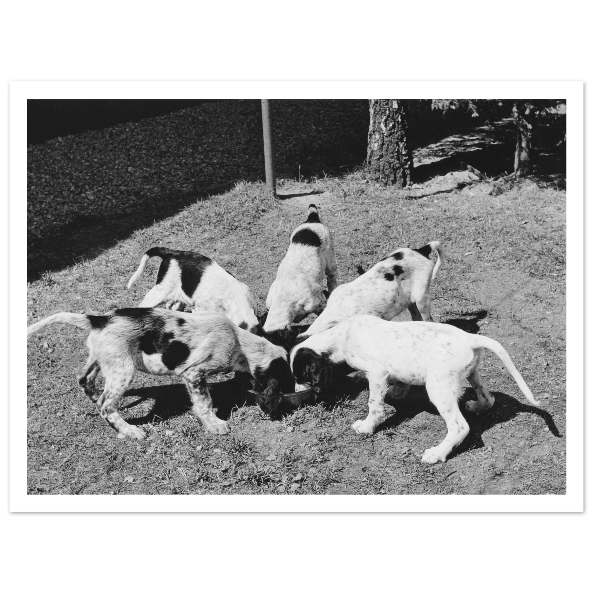 35694758-b91a-4cc2-8df2-ee0001c52b28