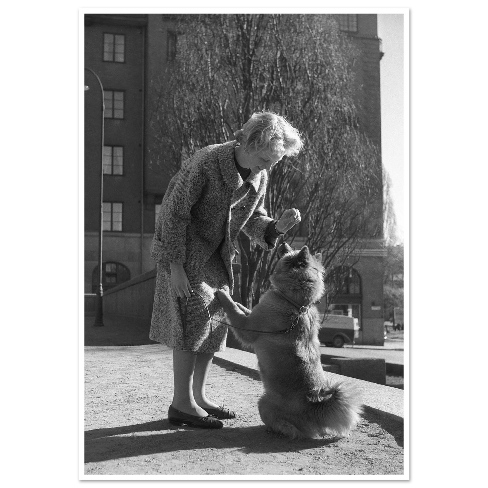 3bc99de0-1e19-4373-a559-6b64f932007e