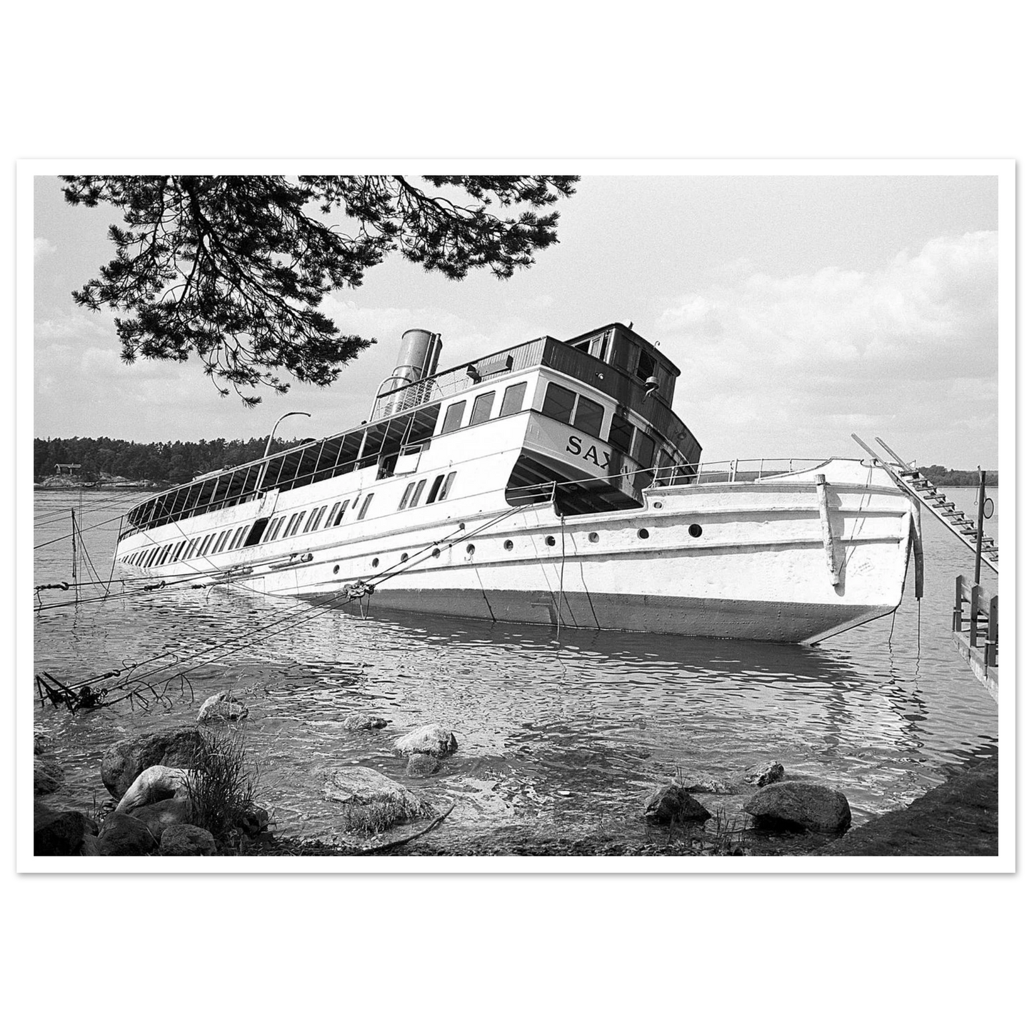 40a72245-e84a-4643-a5b4-f200d27c4f5a