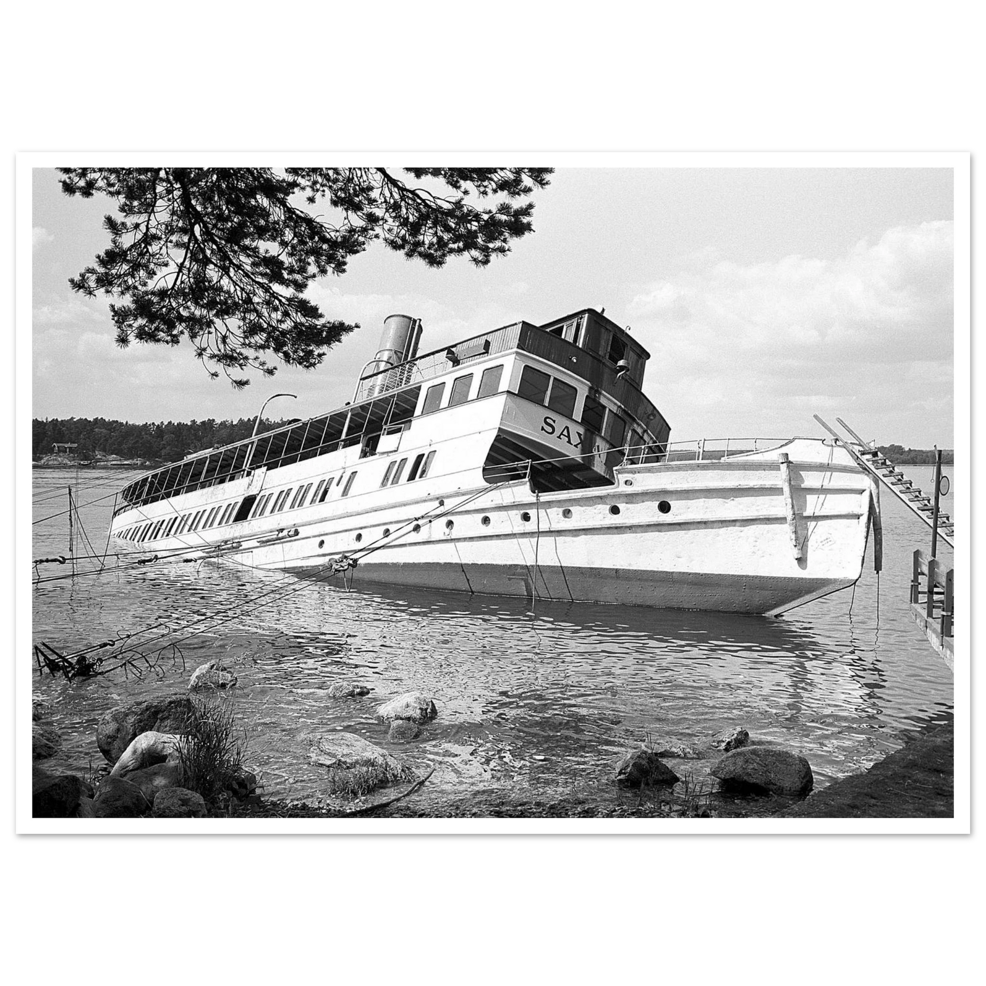 40a72245-e84a-4643-a5b4-f200d27c4f5a