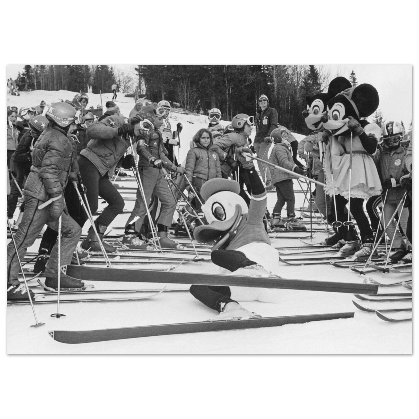 448dcdc7-34c8-4d11-84c6-d49a8d9e0be5