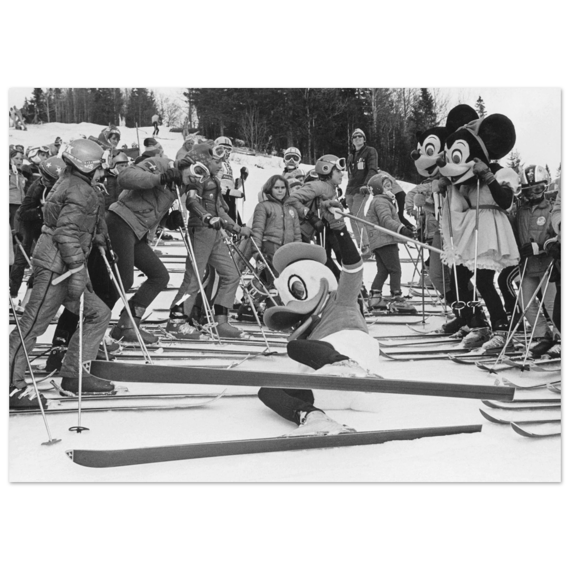 448dcdc7-34c8-4d11-84c6-d49a8d9e0be5