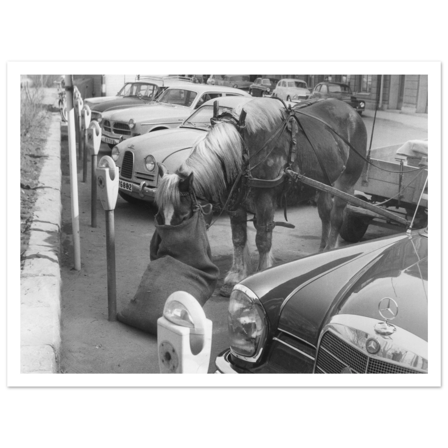 4799d255-9619-4b49-957e-0a97e516dfb1