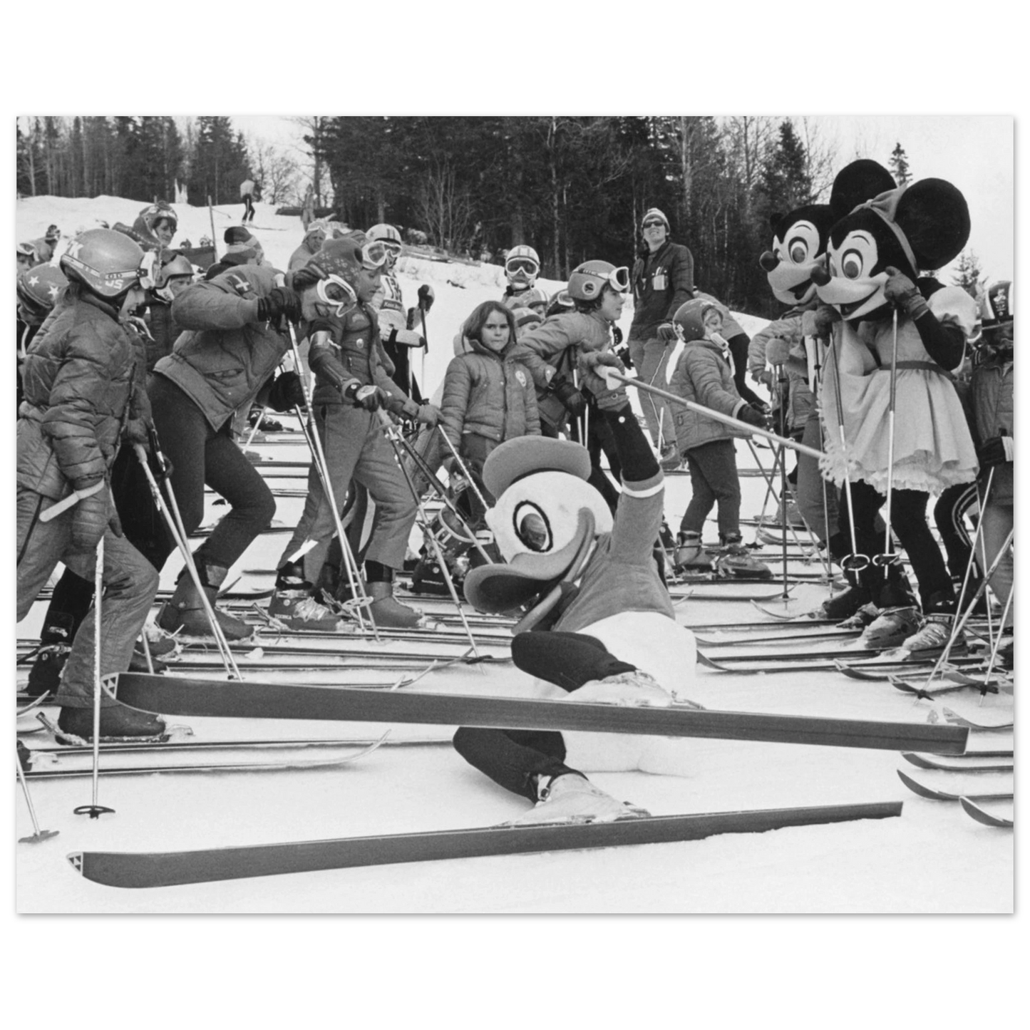 4855958a-f026-4e6d-a64b-968454e8622c