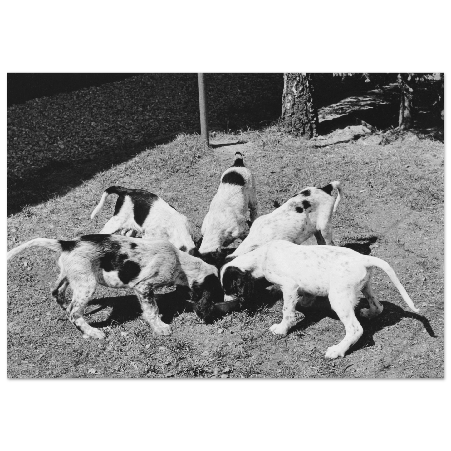 552c8b61-0759-426f-89b0-3ef8b8d3fbde