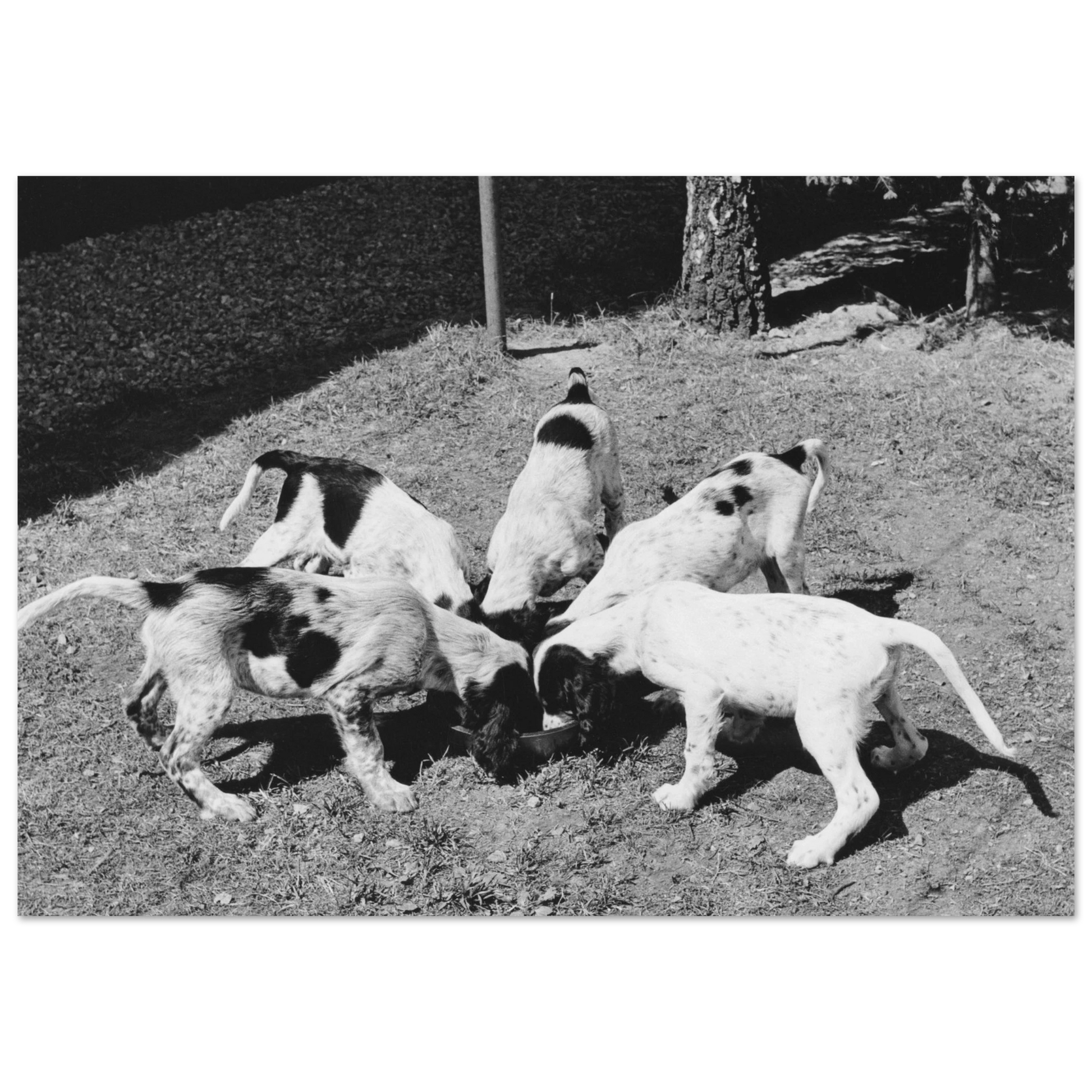 552c8b61-0759-426f-89b0-3ef8b8d3fbde