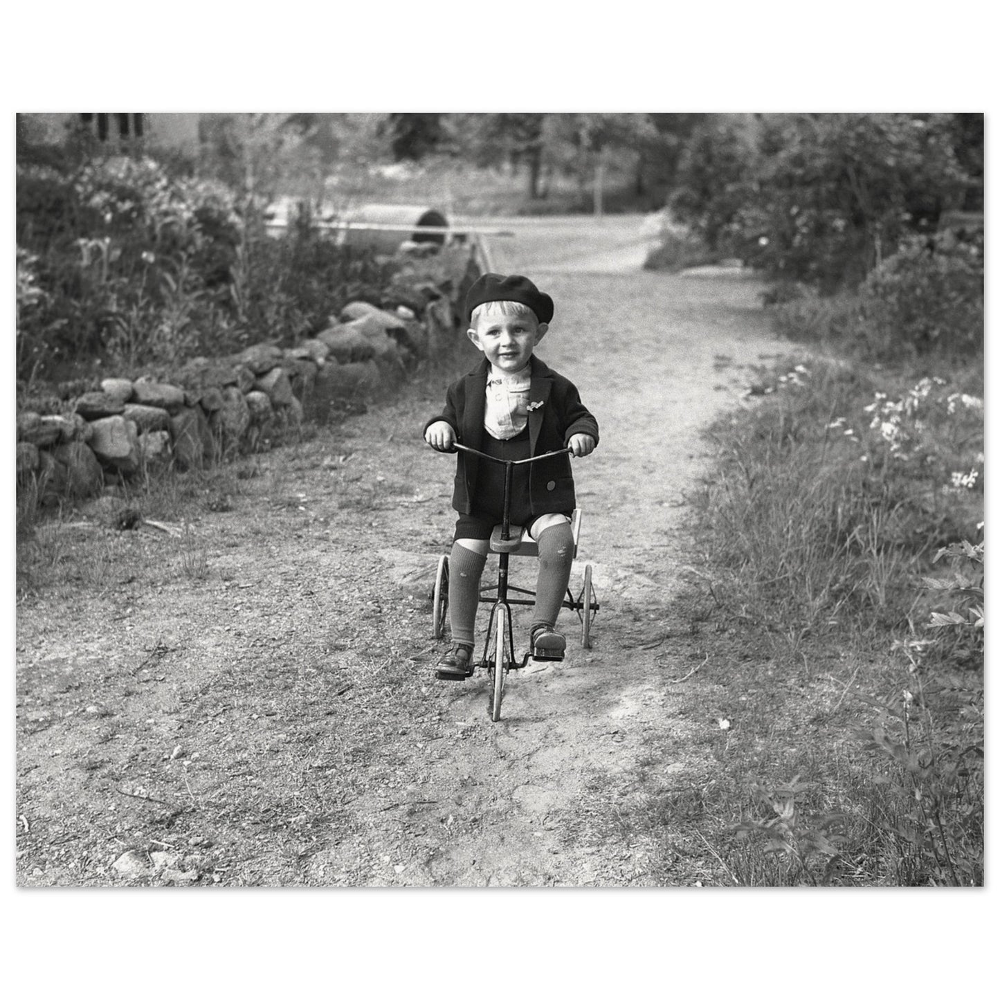 5530327e-fe46-4360-9070-166e6be60fda