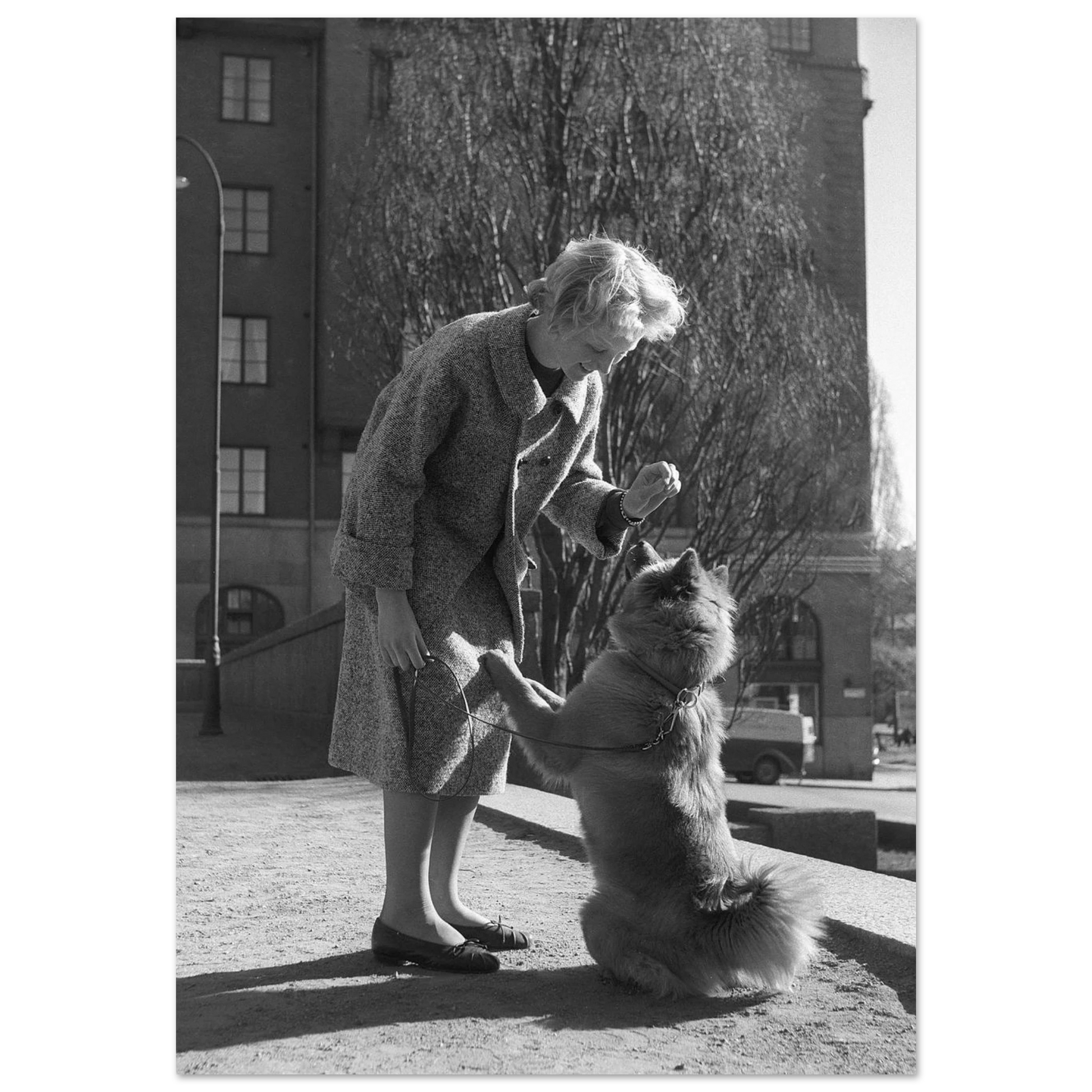 5d6705d2-bbf3-46fa-8f5c-b982fde9f22e