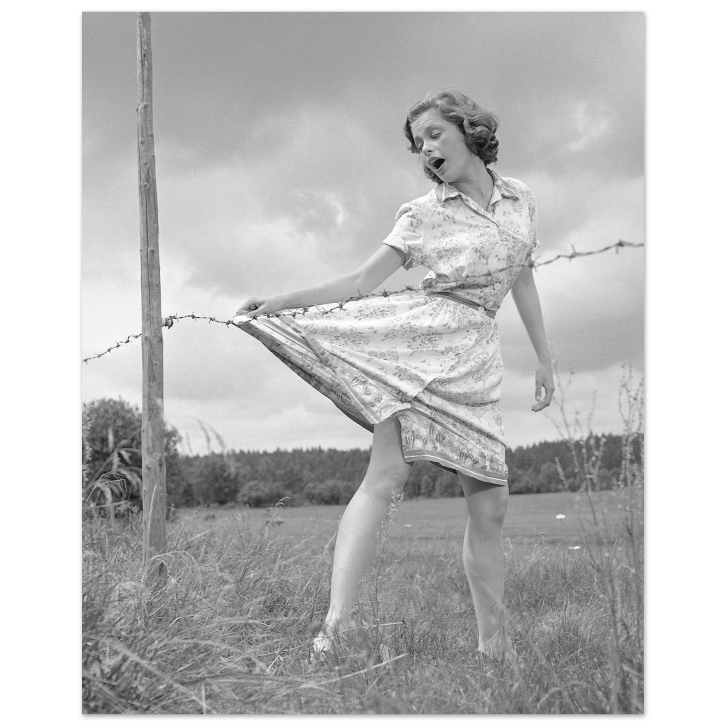 636e06d3-4caa-49ad-8ee7-f999f2f56515