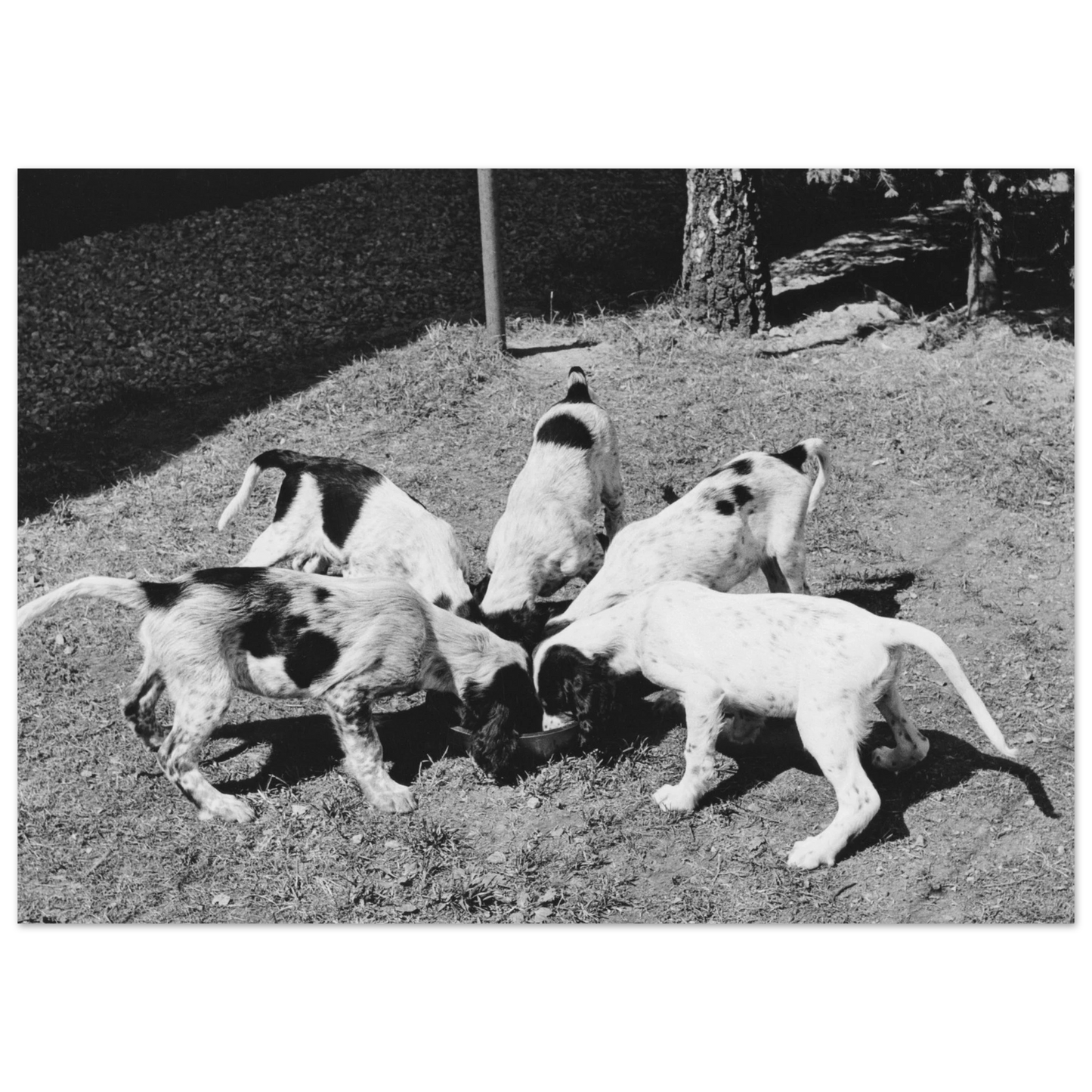 689d32b7-b141-4035-8482-a09c8703dd4f