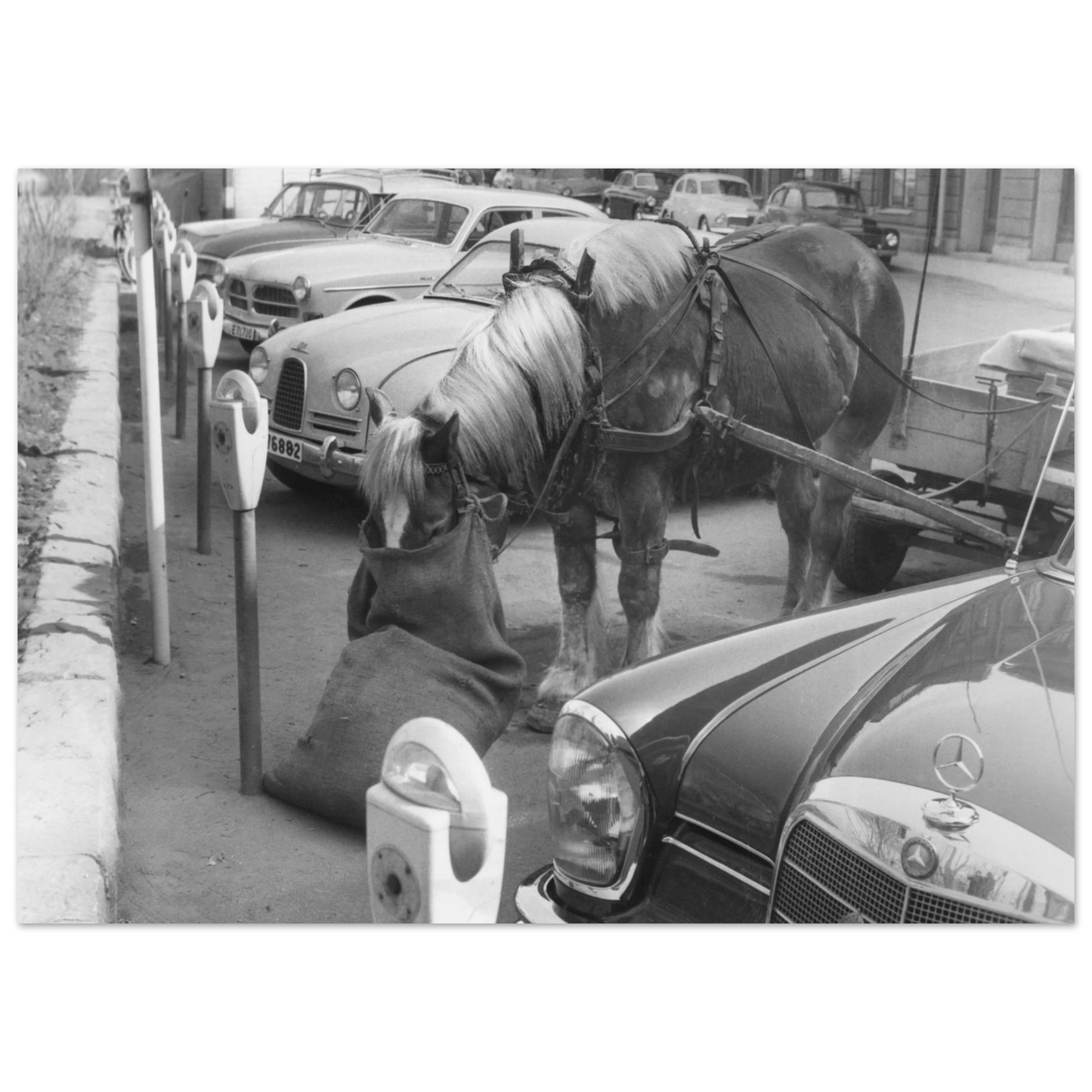 68ec4fbc-5609-4535-b4dd-45f9995ba46a