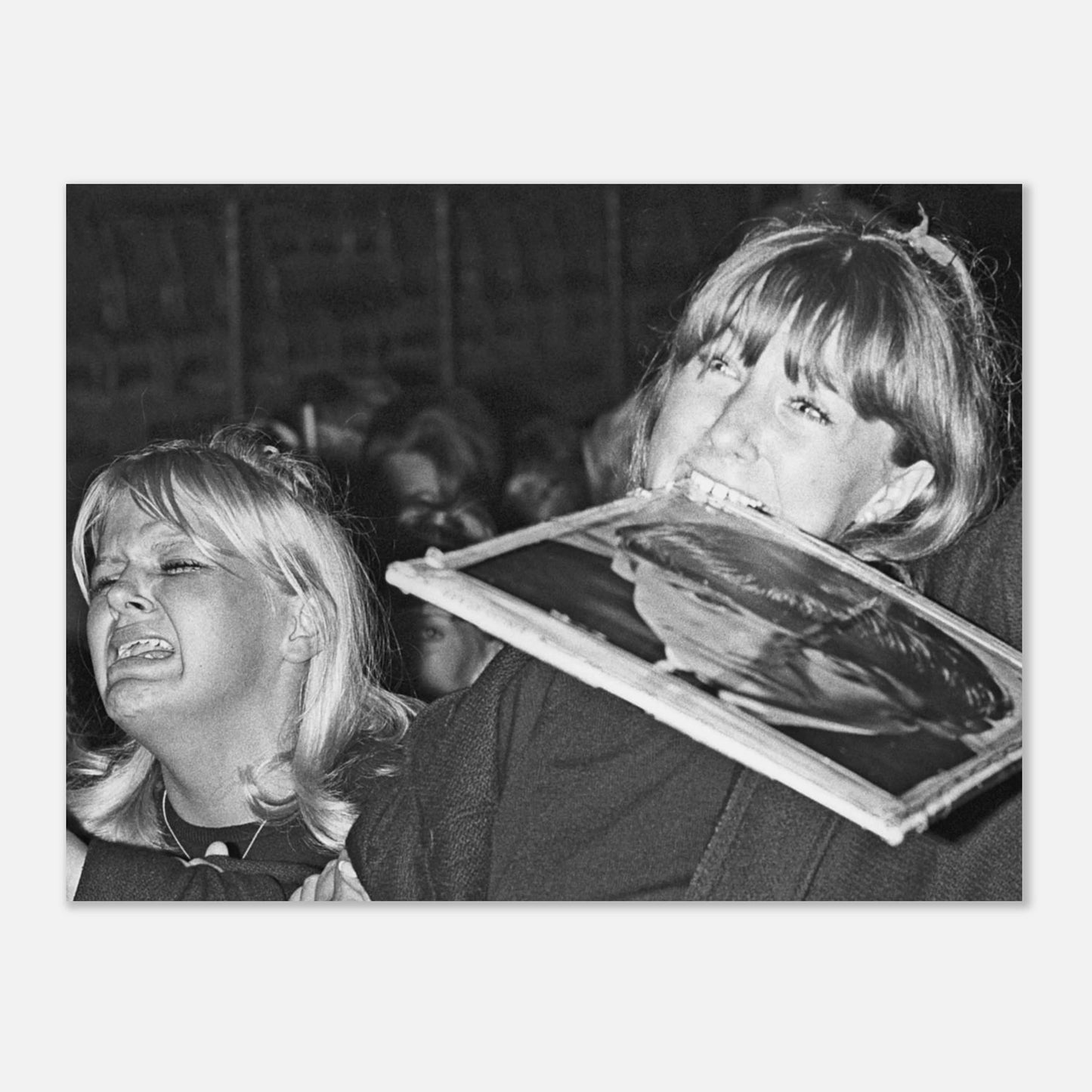 6bfcdbba-34c4-4538-930b-3bba569a8719