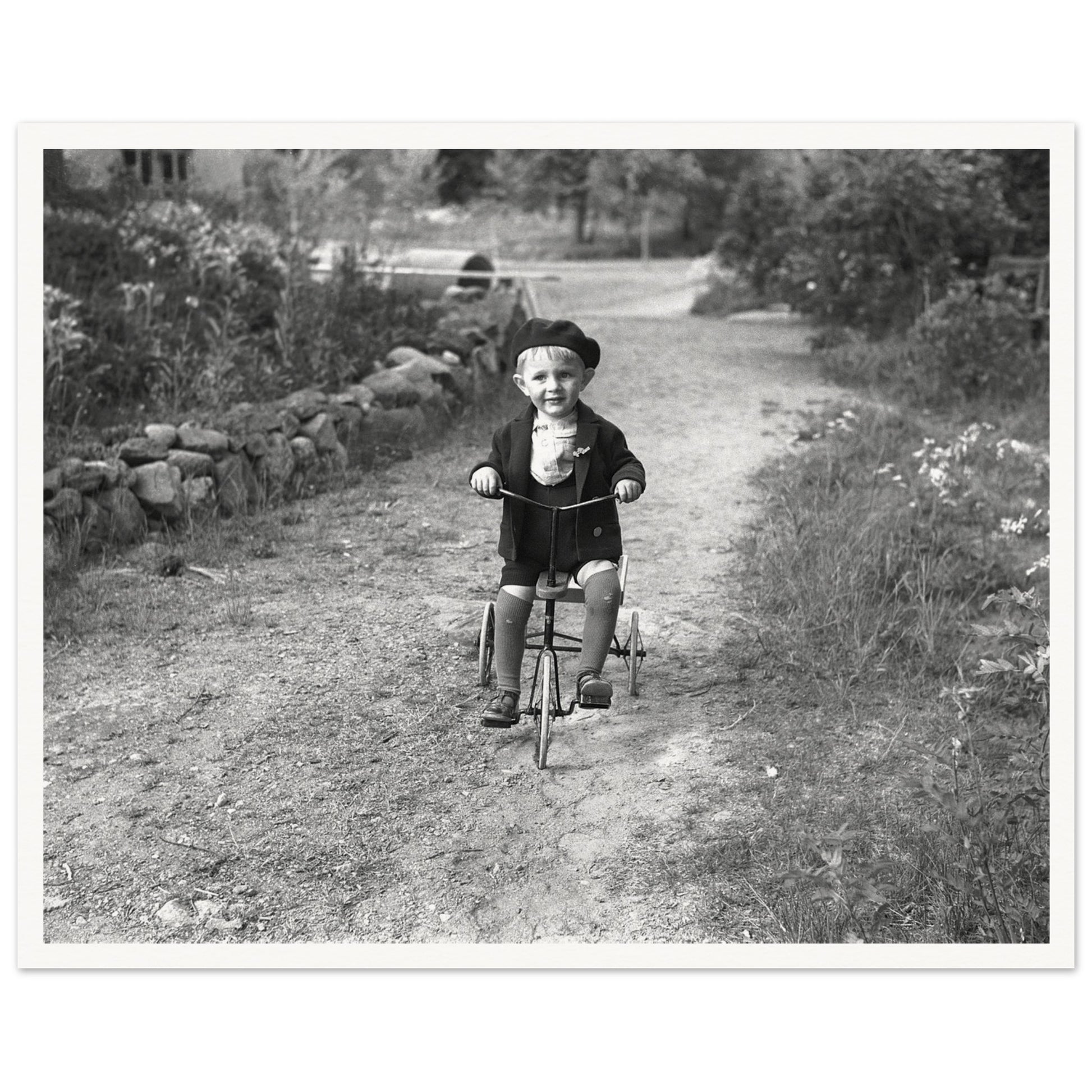 6e1d6255-7c13-46a2-9309-ff01422b28eb