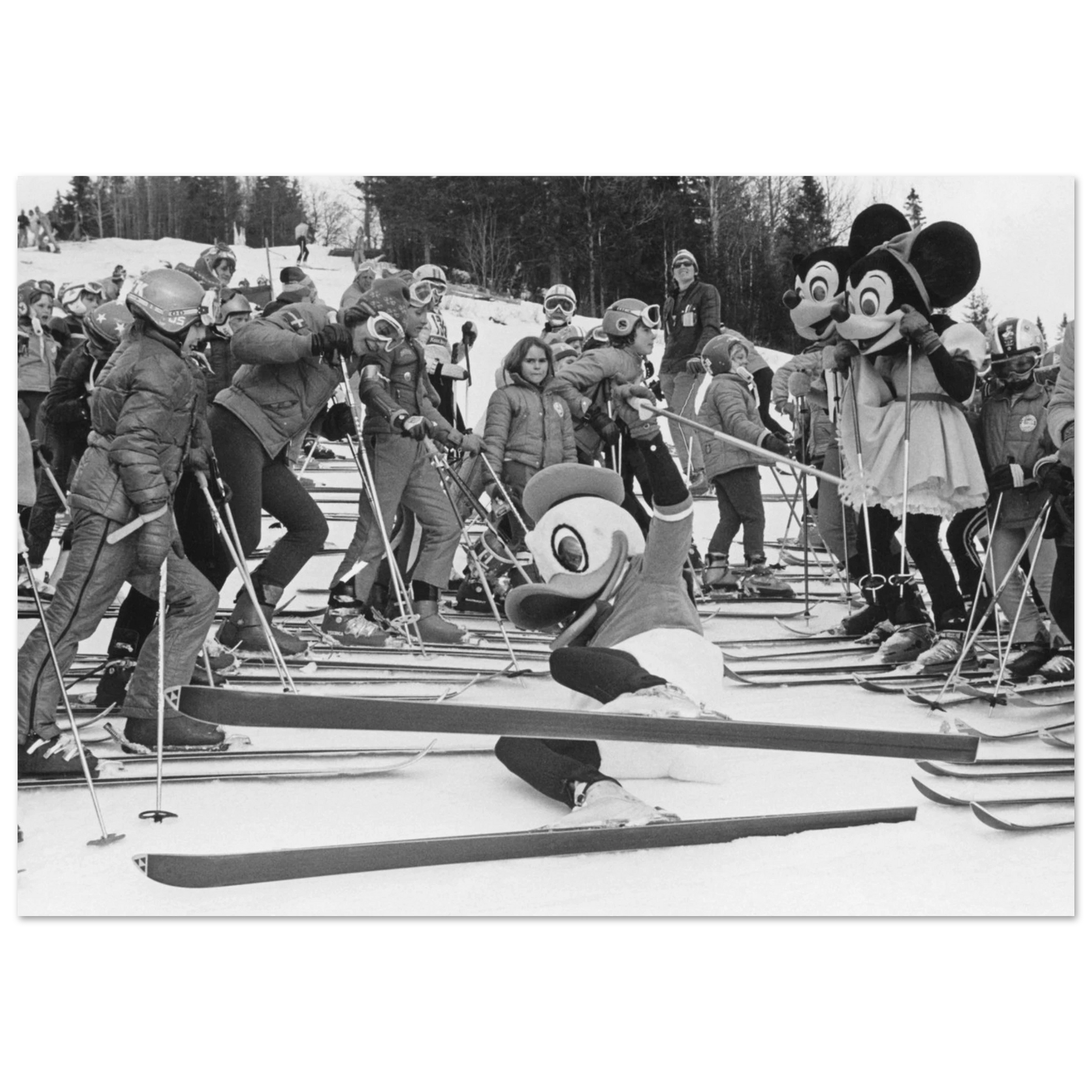 70c34376-6594-496c-b562-aa613ff712ad