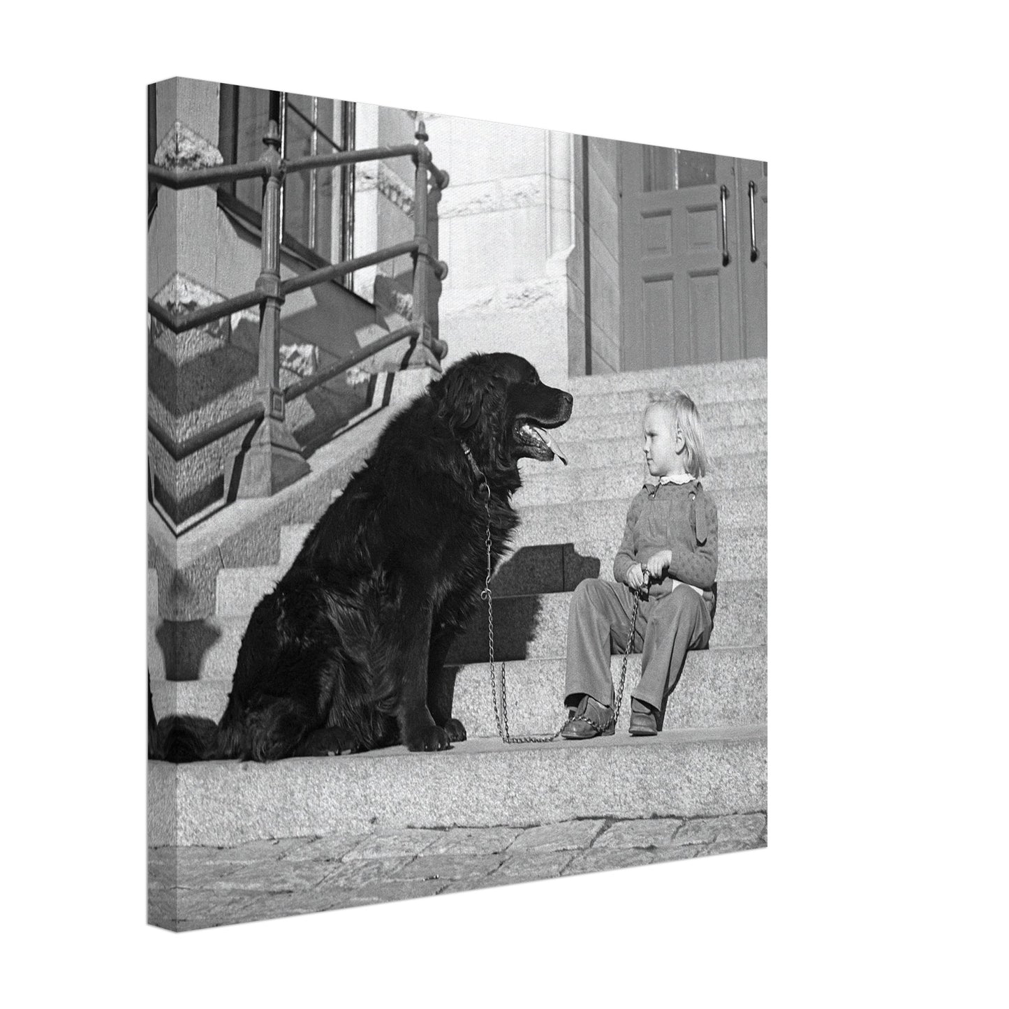 7bf9e4ec-39da-4b38-94ca-7fd68258954d