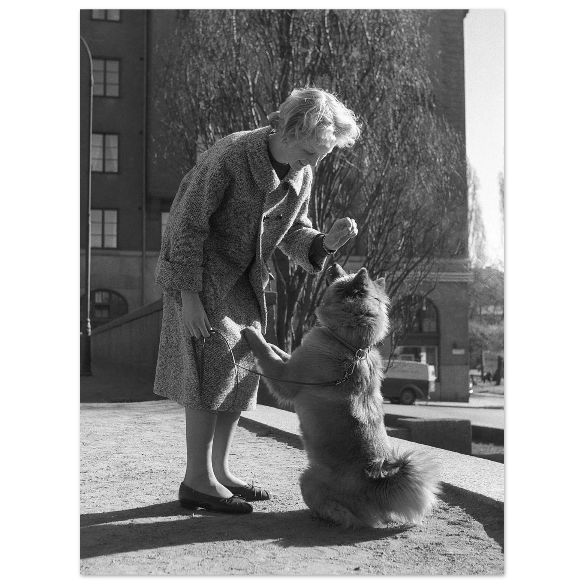 82f830be-9062-4084-8735-e65dd859cd6b